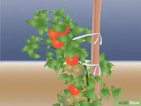 Image titled Stake a Plant Step 4