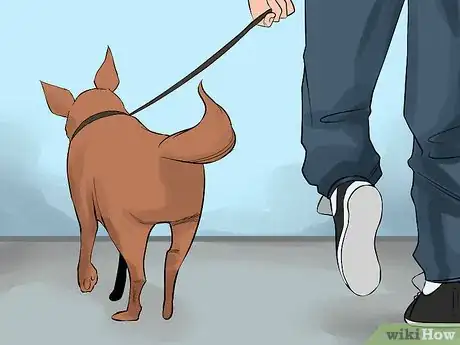 Image titled Become Close With Your Dog Step 7
