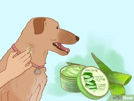 Image titled Treat an Insect Bite on a Dog Step 6