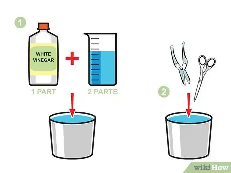 Image titled Prune Lilies Step 05