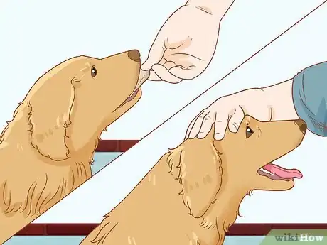 Image titled Help a Dog Overcome Its Fear of Stairs Step 6