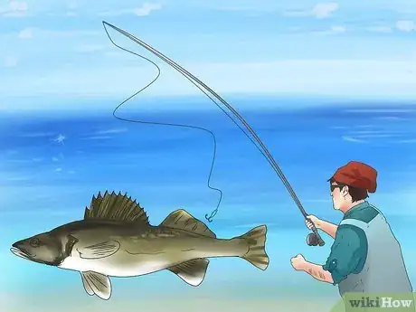 Image titled Catch Walleye Step 5