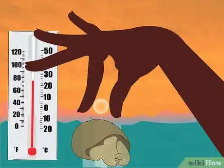 Image titled Wake a Tortoise from Hibernation Step 10