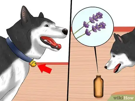 Image titled Deal with Having a Visually Impaired Dog Step 16