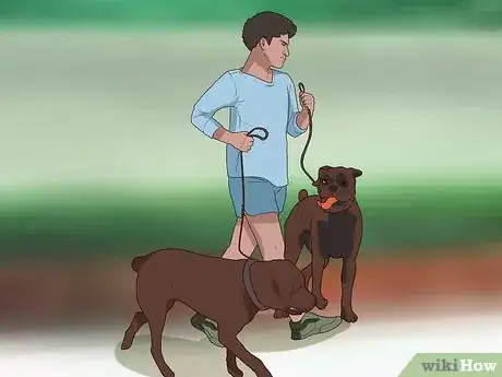 Image titled Become a Guide Dog Trainer Step 4