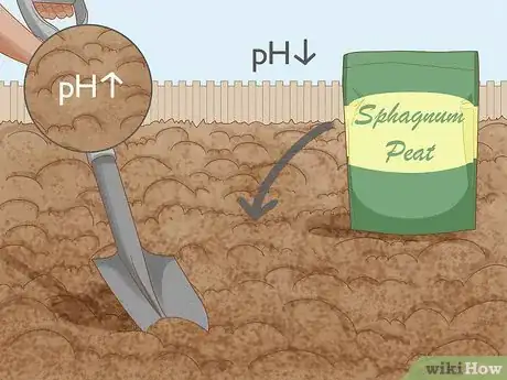 Image titled Prepare Soil for Planting Herbs Step 6