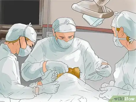 Image titled Treat Portosystemic Shunts in Yorkshire Terriers Step 8