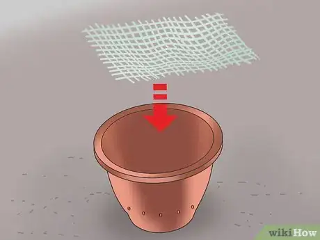 Image titled Grow Snake Grass Step 5