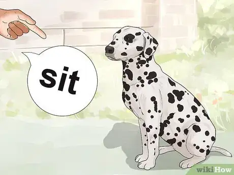 Image titled Adopt a Working Dog Step 19