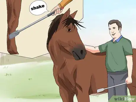 Image titled Train a Horse to Shake a Hoof Step 7