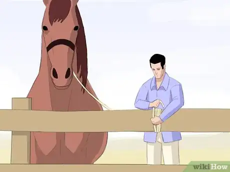 Image titled Saddle a Horse Western Step 11