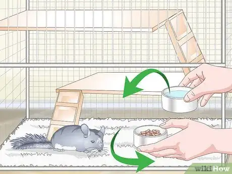 Image titled Avoid Poisoning a Chinchilla Step 7