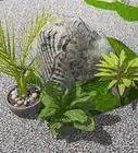 Build a Japanese Garden