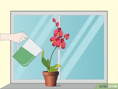 Image titled Care for Orchids Step 8