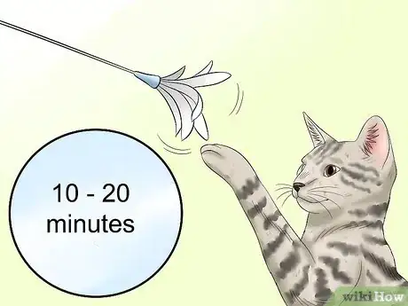 Image titled Care for Egyptian Maus Step 18