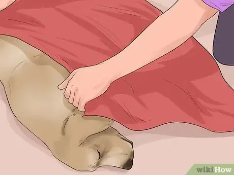 Image titled Give First Aid to an Electrocuted Animal Step 2