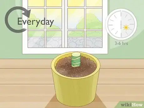 Image titled Propagate from Cane Cuttings Step 8