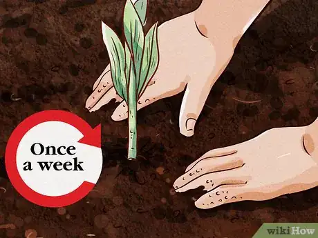 Image titled Make Cinnamon Step 7