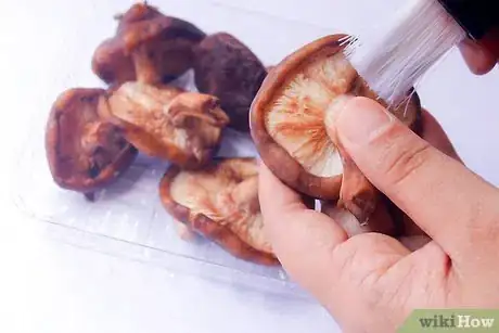 Image titled Dry Mushrooms Step 1