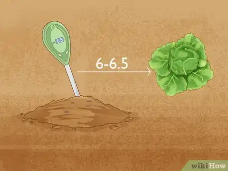 Image titled Garden During Coronavirus Step 6