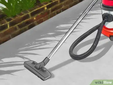 Image titled Get Rid of Boxelder Bugs Step 3