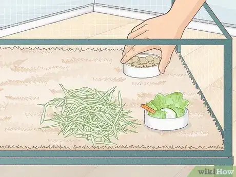 Image titled Prevent Your Guinea Pig from Becoming Sick Step 12