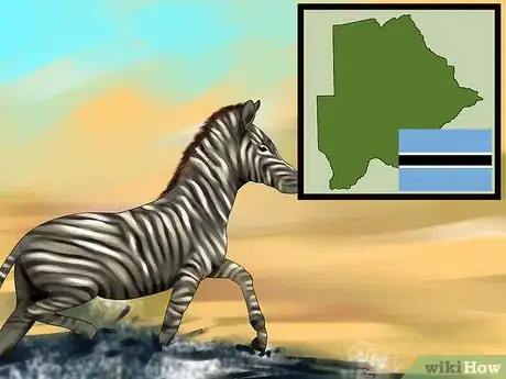 Image titled Choose a Vacation Destination for Animal Lovers Step 3