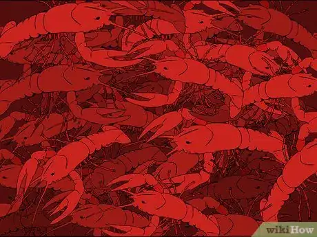 Image titled Boil Crawfish Step 1