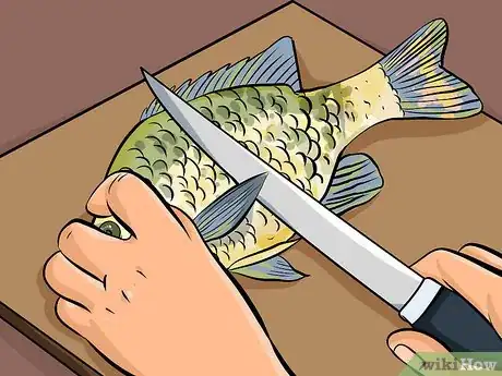 Image titled Clean Sunfish Step 6