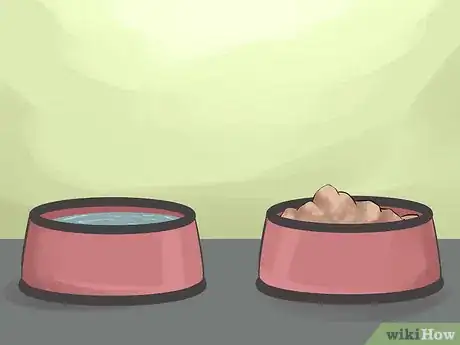 Image titled Watch for Signs of Illness in Senior Dogs Step 1