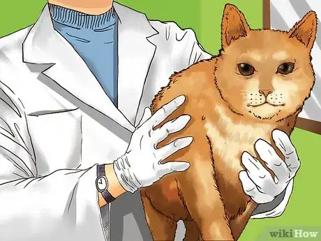 Image titled Prevent Kidney Disease in Cats Step 10
