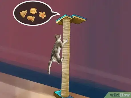 Image titled Provide High Resting Spaces for Your Cat Step 10