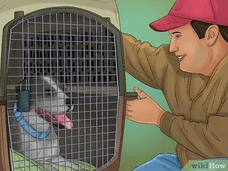 Image titled Prepare a Dog for Air Travel Step 16
