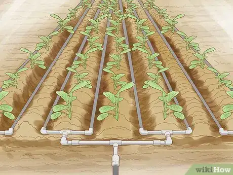 Image titled Help Prevent Desertification Step 5