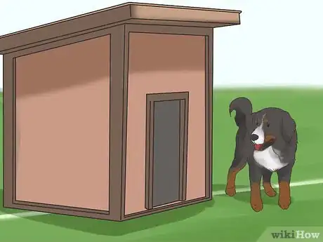 Image titled Care for Bernese Mountain Dogs Step 10