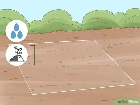 Image titled Grow Bottle Gourds Step 6