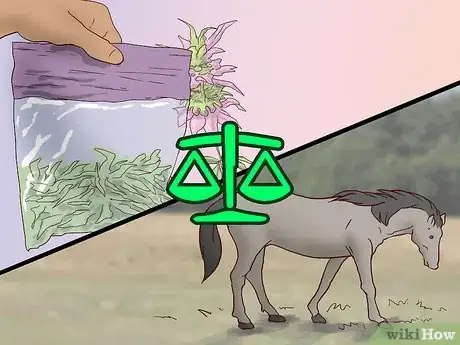 Image titled Feed a Horse a Mint Step 7