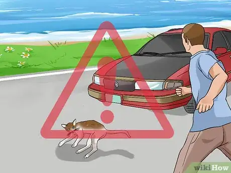 Image titled Approach an Injured Animal Step 2