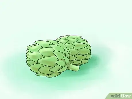 Image titled Grow Perennial Vegetables Step 2