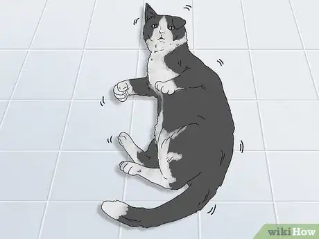 Image titled Handle Mothball Poisoning in Cats Step 6