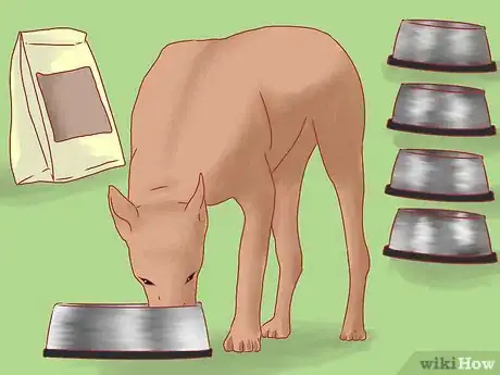 Image titled Care for Great Danes Step 3