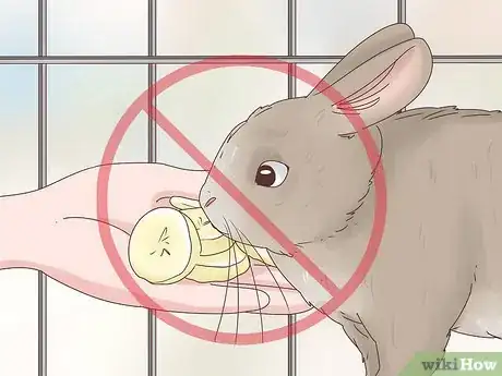 Image titled Treat Diarrhea in Rabbits Step 10