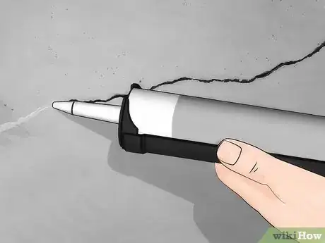 Image titled Get Rid of Boxelder Bugs Step 5