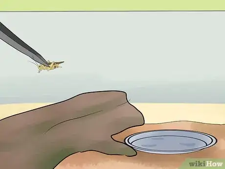 Image titled Feed an Anole Green Lizard Step 9