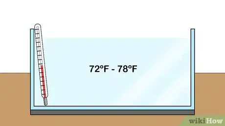 Image titled Plant Brazilian Waterweed Step 1