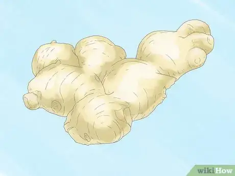 Image titled Protect Your Home and Garden from Elephants Step 4