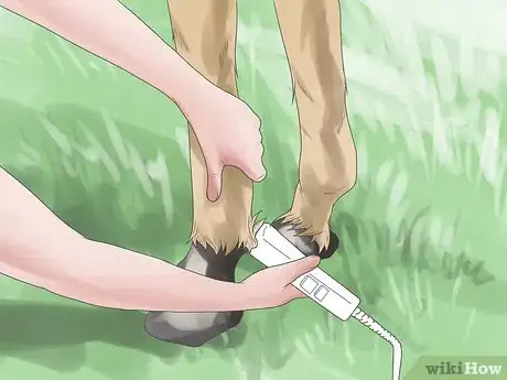 Image titled Prepare for a Horse Show Step 6