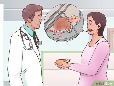 Image titled Care for a Manx Rat Step 10