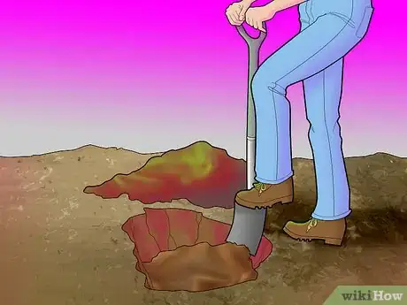 Image titled Plant Pine Trees Step 7