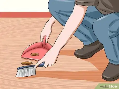 Image titled Treat Ascarids in Dogs Step 11